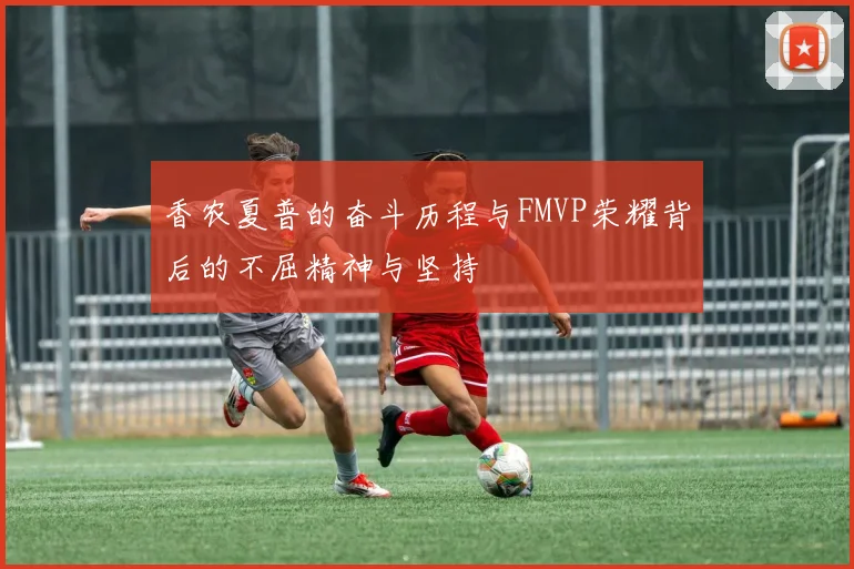 香农夏普的奋斗历程与FMVP荣耀背后的不屈精神与坚持